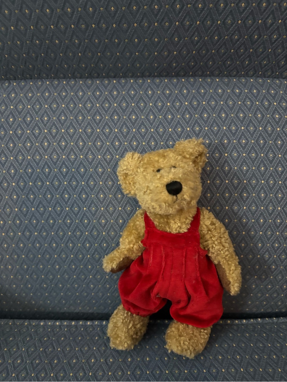 Boyds Bears Starry - Canadian LE - 2000 Millennium Bear